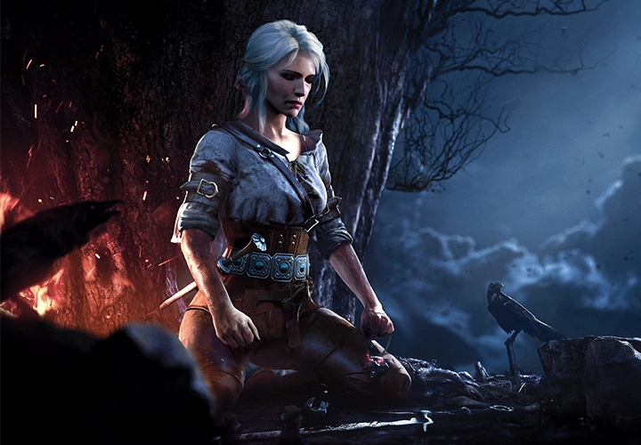 The Witcher 3: Wild Hunt